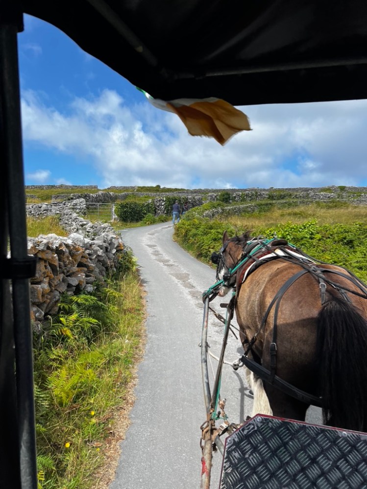View of a road from a horse cart on Inis Oirr (Inisheer), an island off the coast of Ireland. The road is paved with a stone wall on the left side. A bay horse pulls a cart and the photo is take from within the cart.
